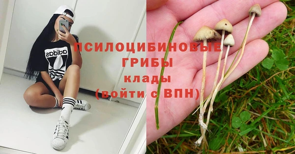 mix Арсеньев
